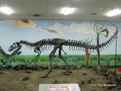 鹿児島県立博物館の恐竜化石を見学！