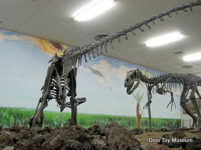 鹿児島県立博物館の恐竜化石を見学！