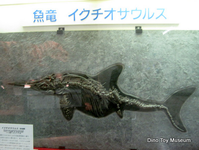 京都市青少年科学センターの恐竜たち