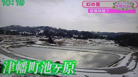 石川テレビ (3)