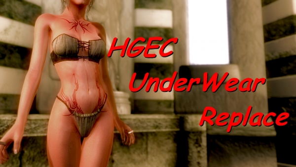 HGEC UnderWear Replace　10_00