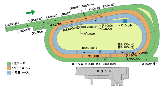 京都競馬場　コース図　平面
