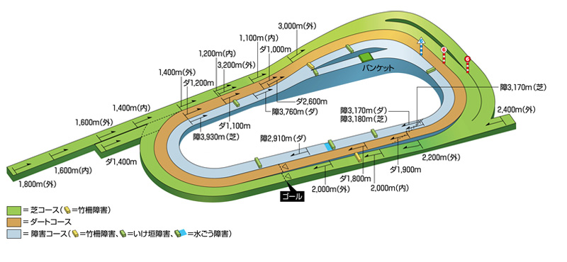 京都競馬場　コース図　立体