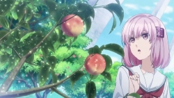 NORN9 1-6 (13)
