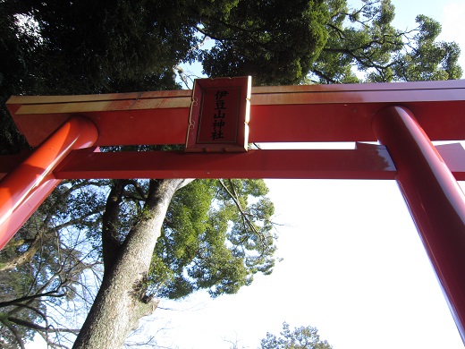 伊豆山神社の赤鳥居