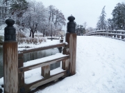 雪の高田公園-2