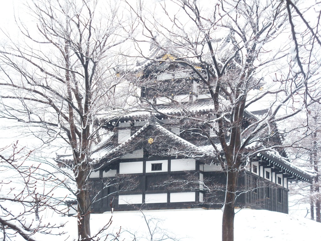 雪の高田城-1