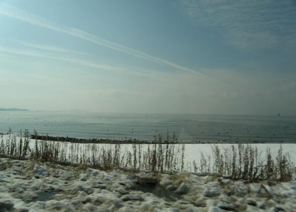 湖畔に雪が積もった琵琶湖