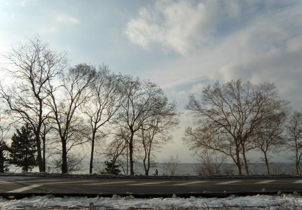 琵琶湖沿いの風景