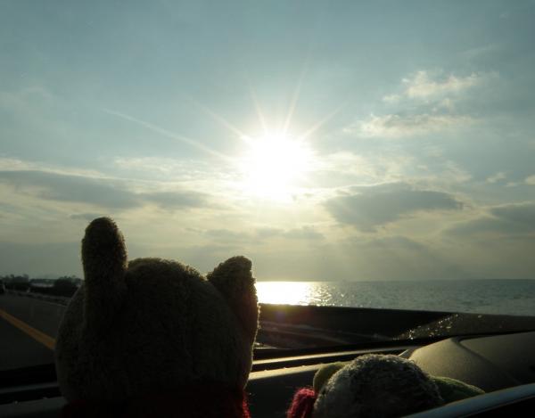夕方になってきた琵琶湖沿いの道