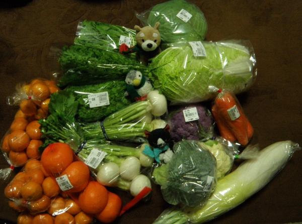道の駅でいっぱい野菜買った！