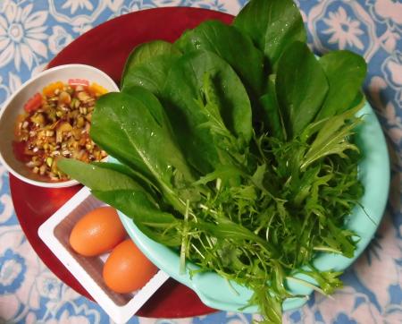 小松菜と水菜（鍋の材料）
