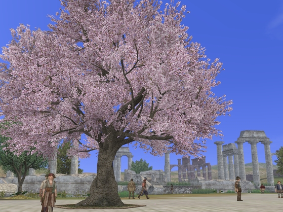 桜背景